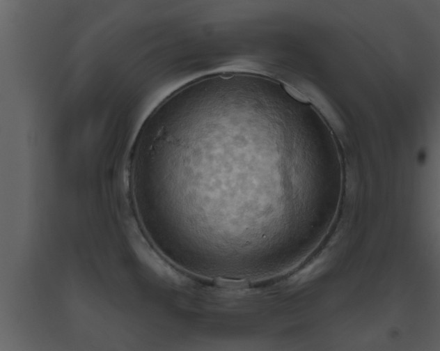 X0000093521292200710191324