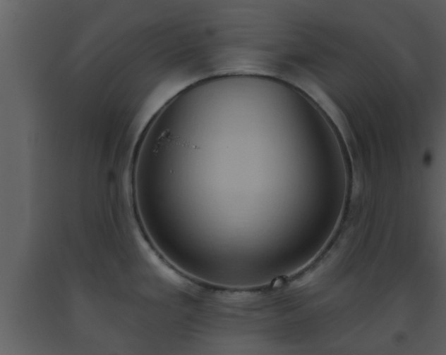 X0000093521293200710191324