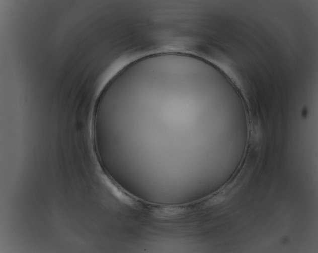X0000093521294200710191324