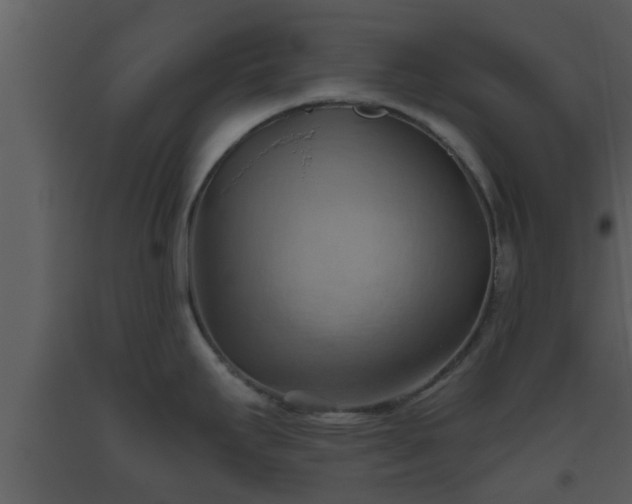 X0000093521295200710191324