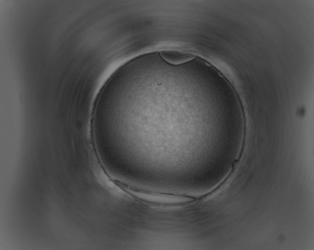 X0000093521296200710191324