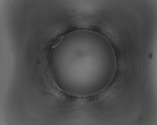 X0000093521297200710191323