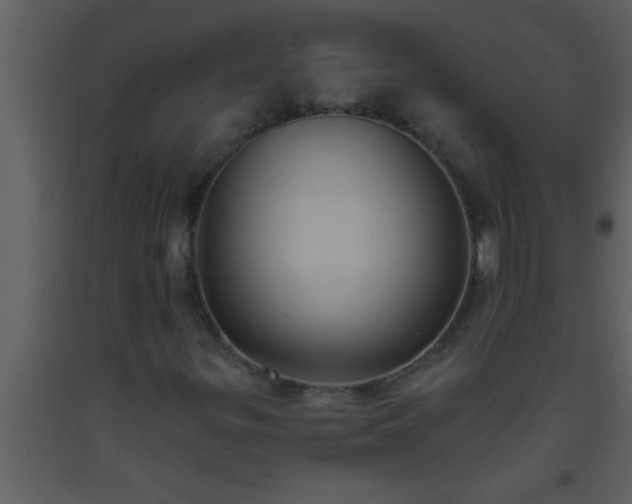 X0000093521299200710191323
