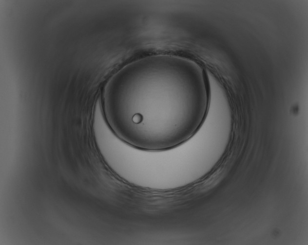 X0000093521300200710191323
