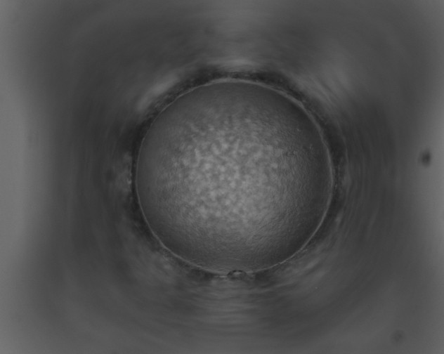 X0000093521301200710191323