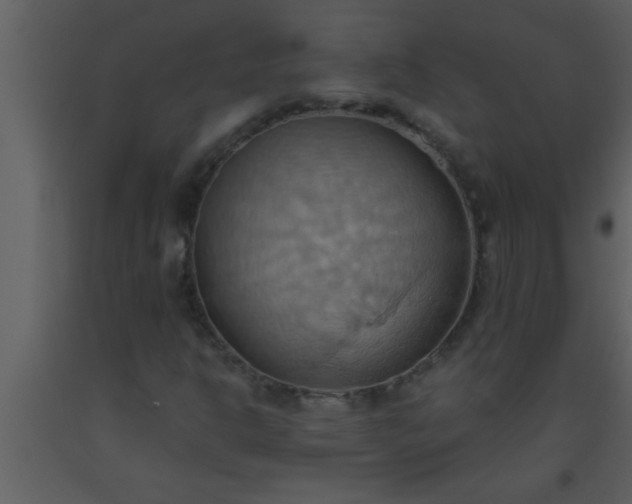 X0000093521302200710191323