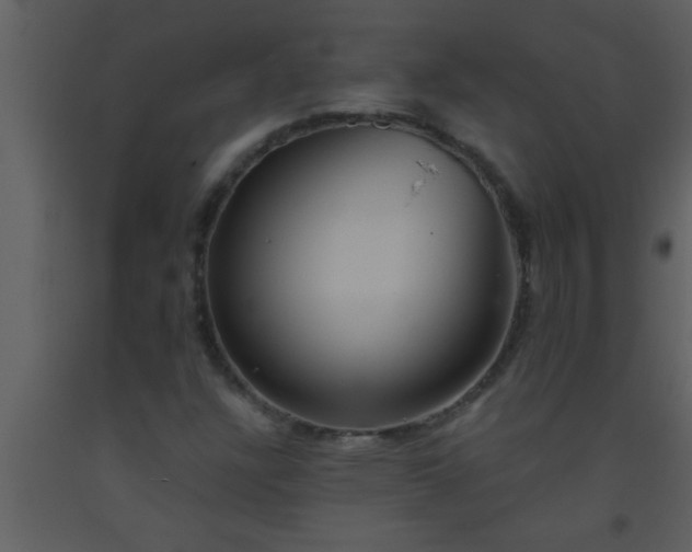 X0000093521304200710191323