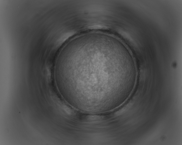 X0000093521305200710191323