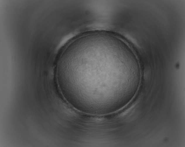 X0000093521309200710191323
