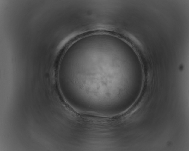 X0000093521310200710191323