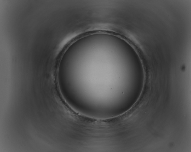 X0000093521312200710191323