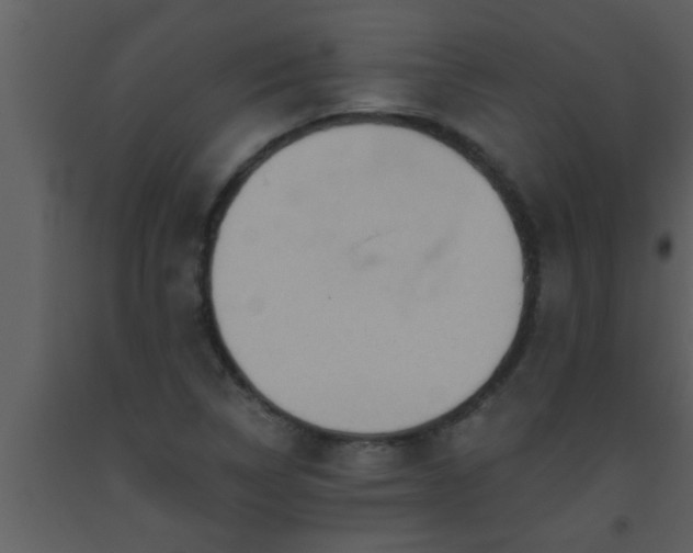 X0000093521314200710191324