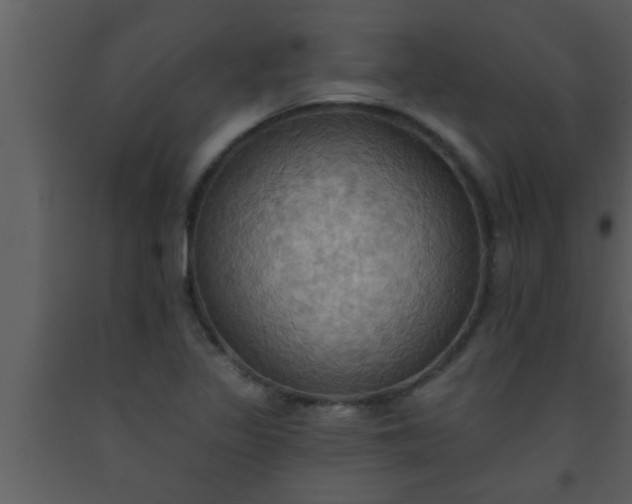 X0000093521317200710191324