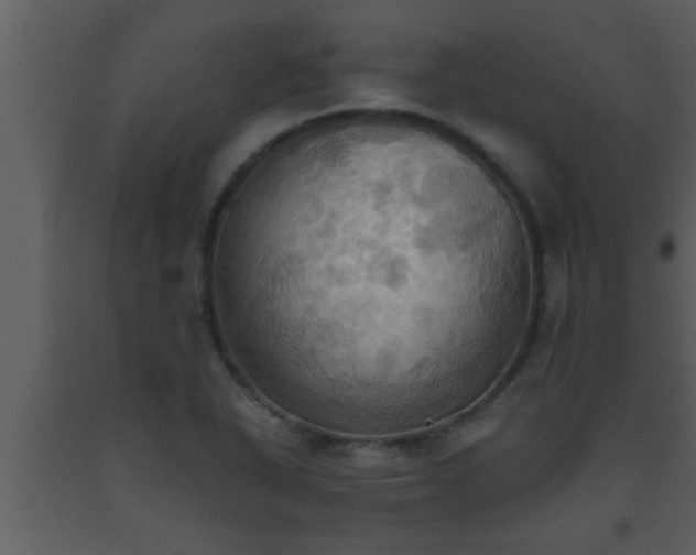 X0000093521318200710191324