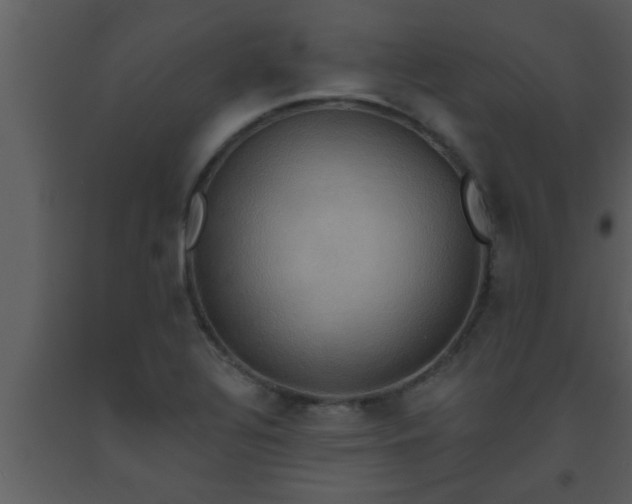 X0000093521320200710191324