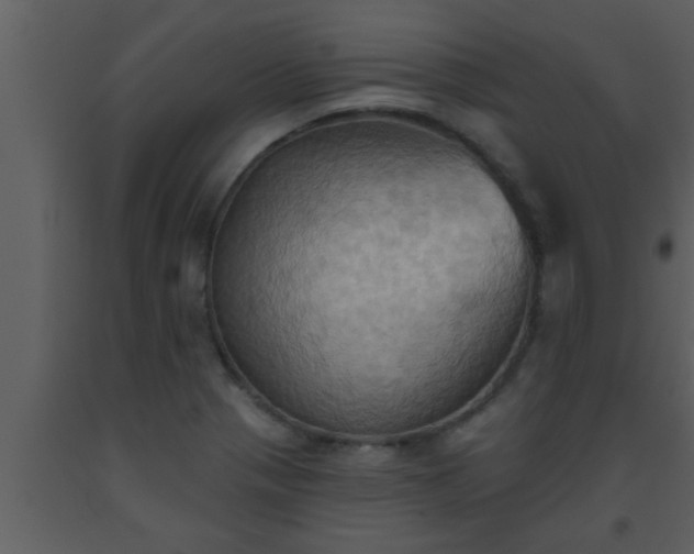 X0000093521321200710191324