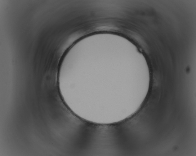 X0000093521322200710191324