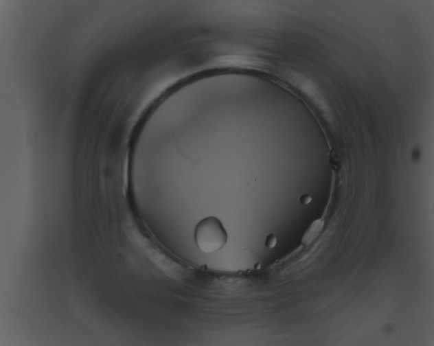 X0000093521323200710191324