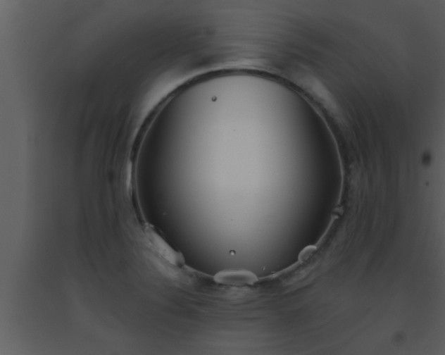 X0000093521324200710191324