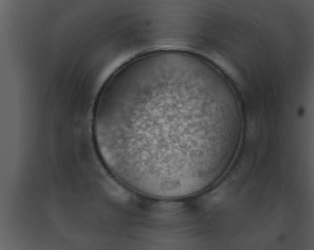 X0000093521325200710191324