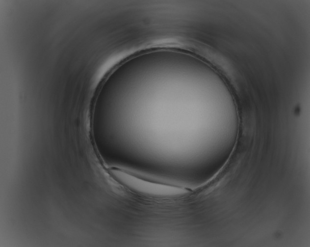 X0000093521328200710191324