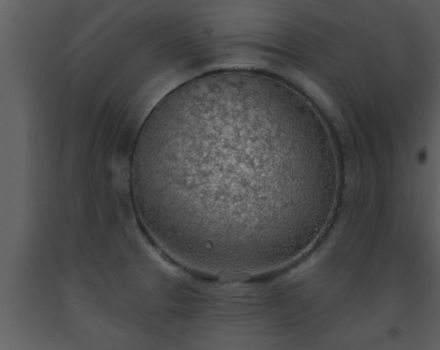 X0000093521329200710191324