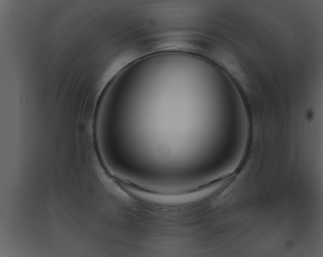 X0000093521330200710191324