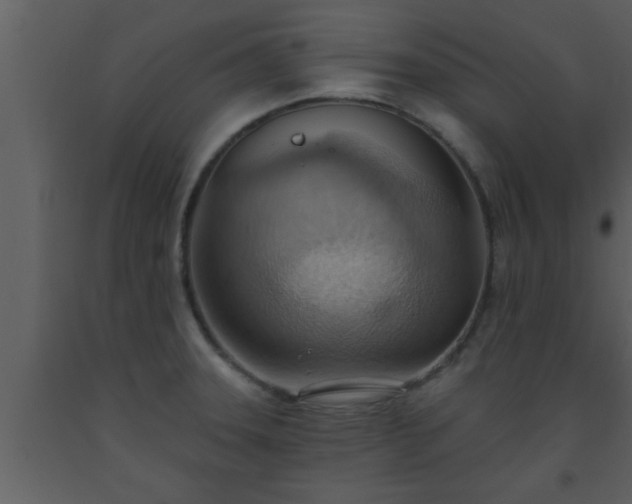X0000093521331200710191324