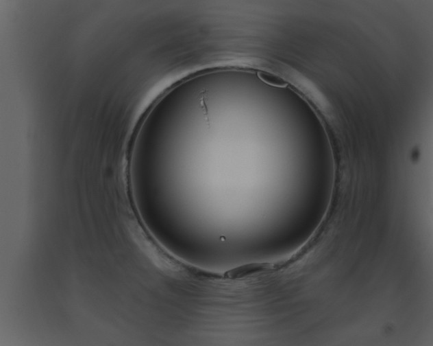 X0000093521332200710191324