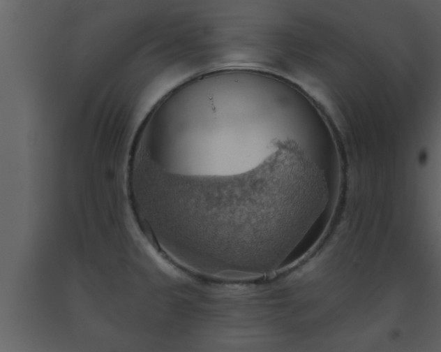 X0000093521333200710191324