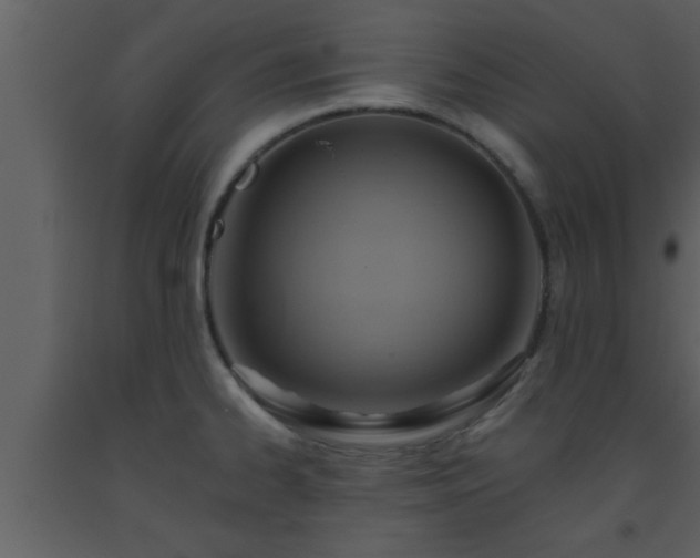 X0000093521334200710191324