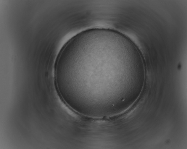 X0000093521335200710191324