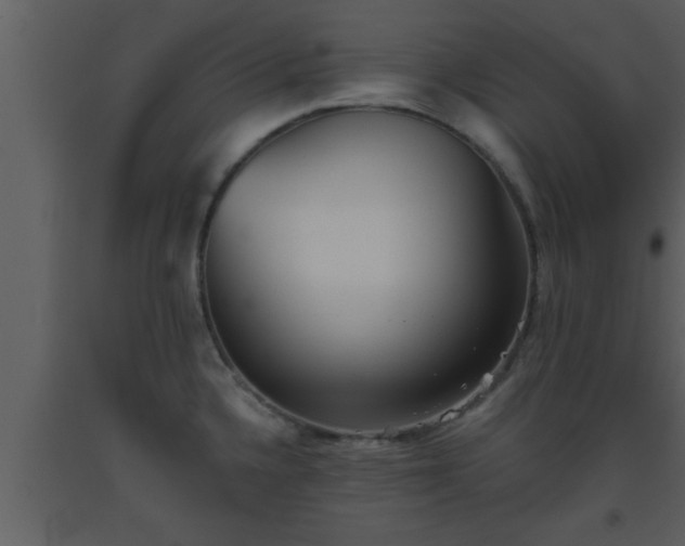 X0000093521336200710191324