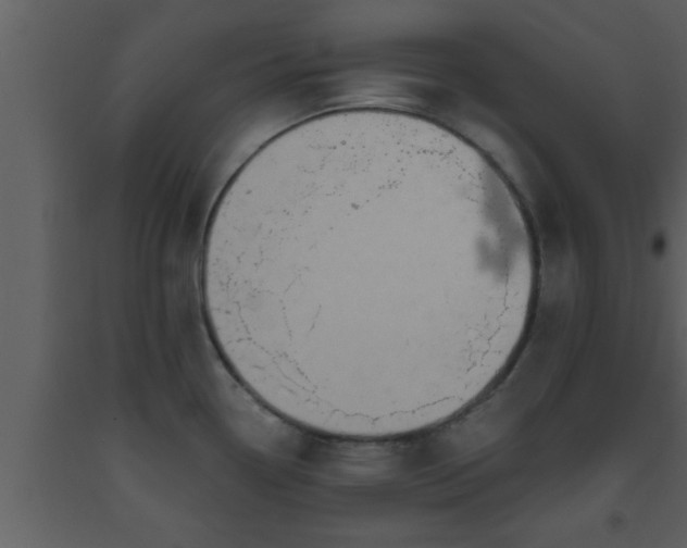 X0000093521338200710191324