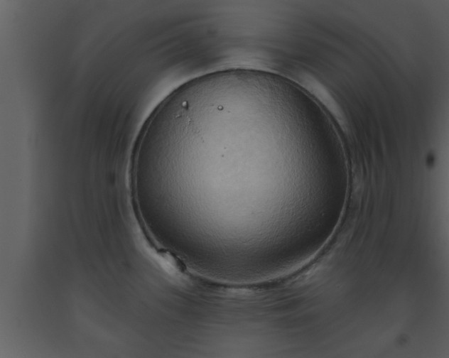 X0000093521339200710191324