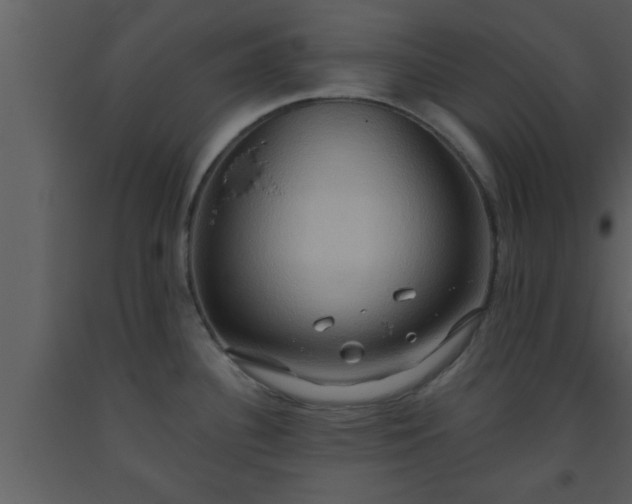 X0000093521340200710191324