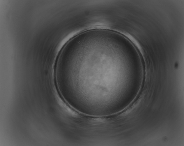 X0000093521341200710191324