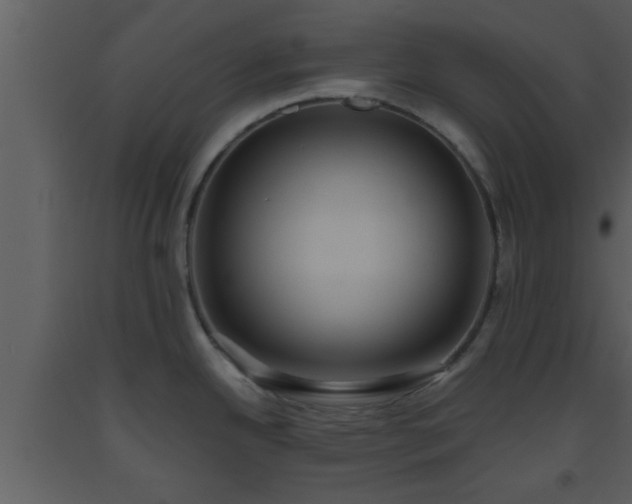 X0000093521342200710191324