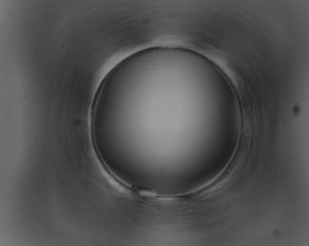 X0000093521343200710191324