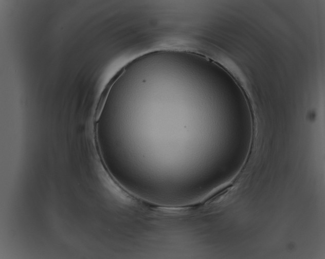 X0000093521344200710191324