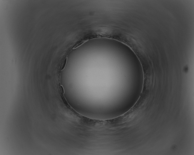 X0000093521345200710191323