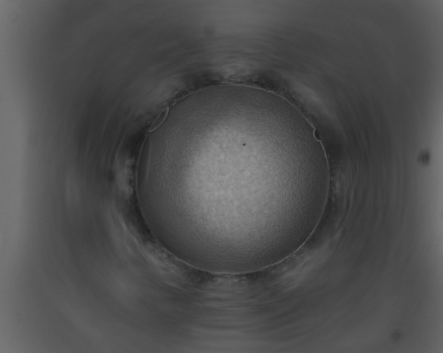 X0000093521346200710191323