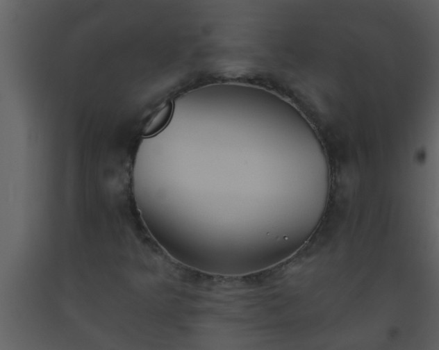 X0000093521349200710191323