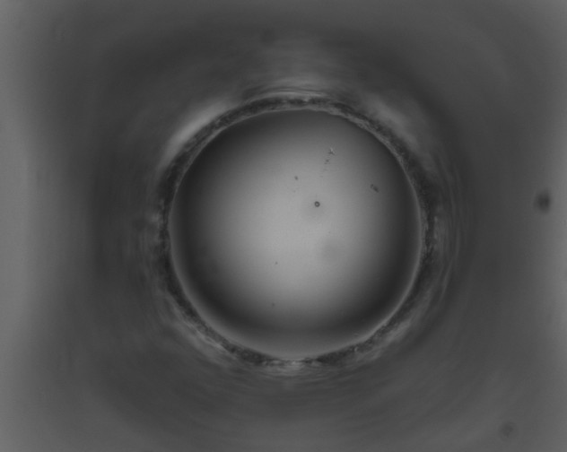X0000093521352200710191323