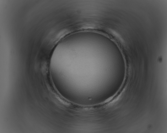 X0000093521353200710191323