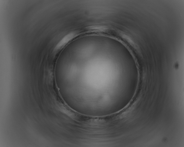 X0000093521354200710191323