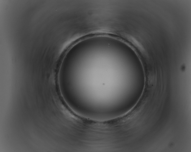X0000093521356200710191323