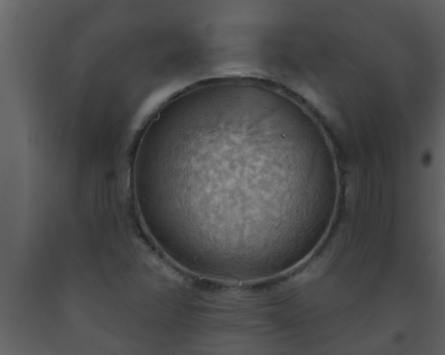 X0000093521358200710191323