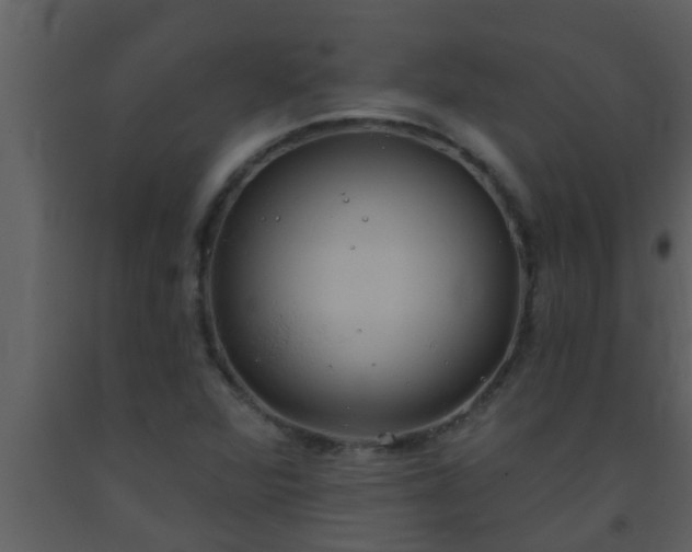 X0000093521360200710191323