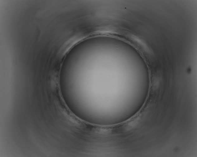 X0000093521361200710191323